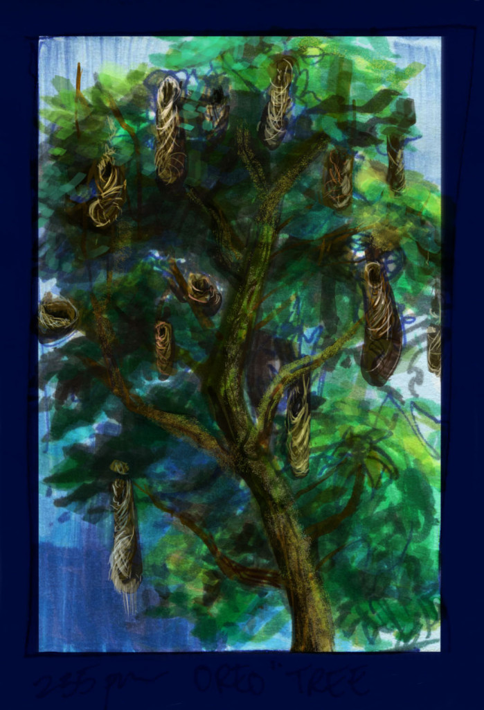 "Oreo" Tree copyright Michael J Trujillo